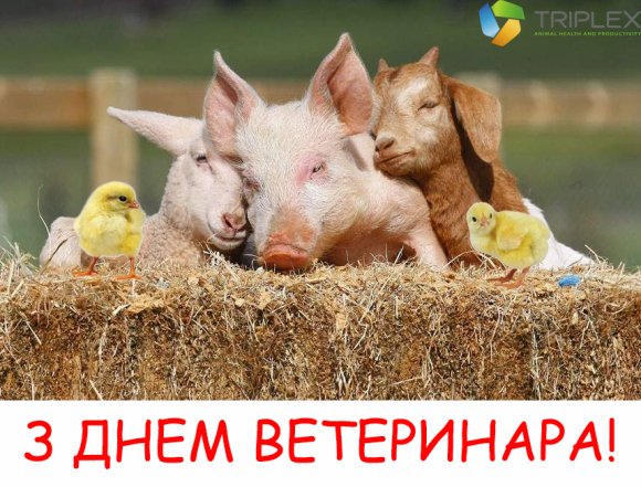 з днем ветеринара