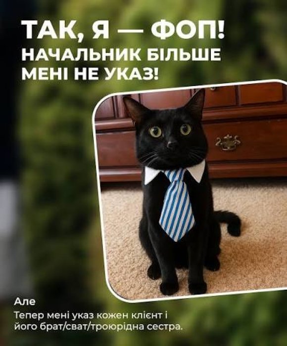 День предпринимателя: приколы, анекдоты и смешные картинки по случаю праздника