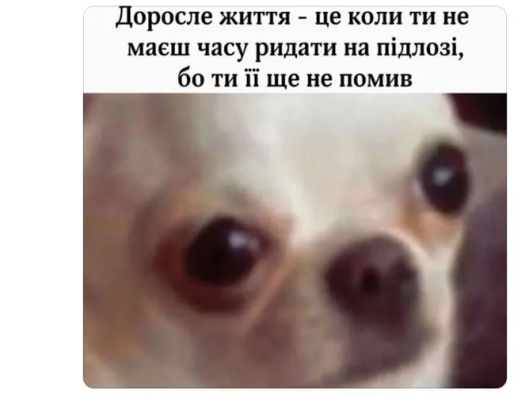 Мемы о тревожности и стрессе