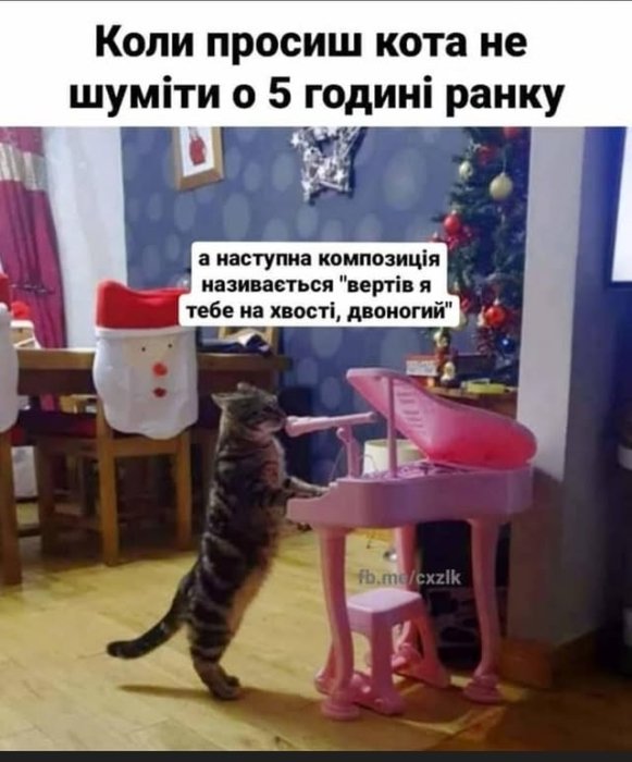 Позитив на каждый день