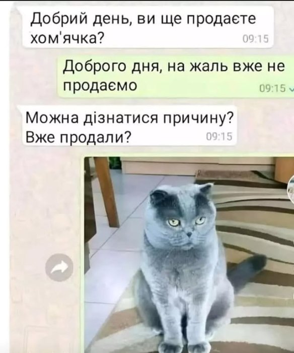 Позитив на каждый день