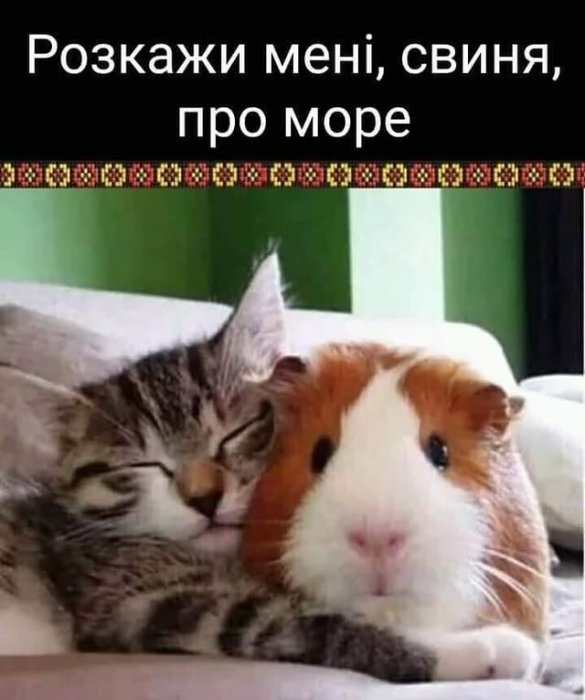 Позитив на каждый день