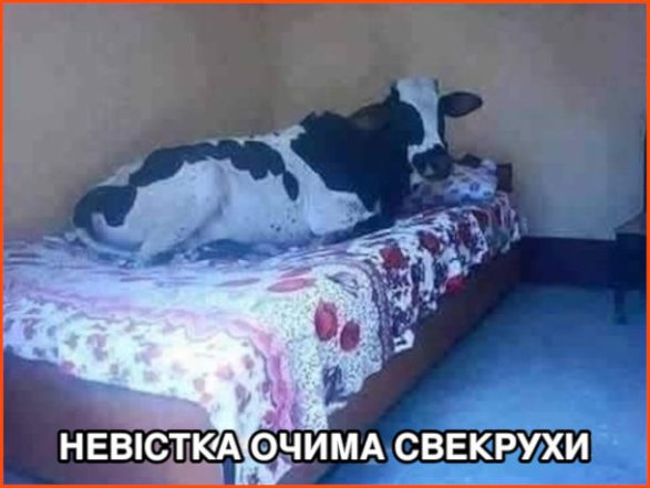 День свекрухи та тещі