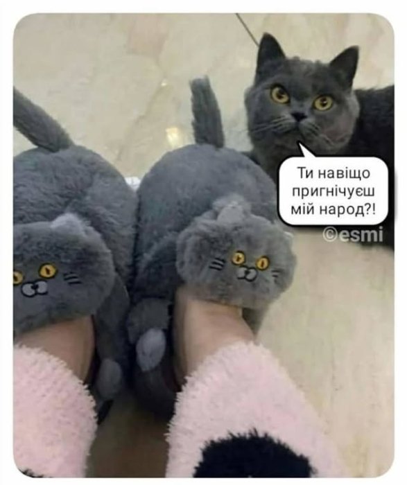 Позитив на каждый день