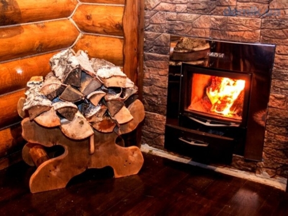 Вибираємо дрова для опалення: які горітимуть найдовше і на що звертати увагу - фото №1