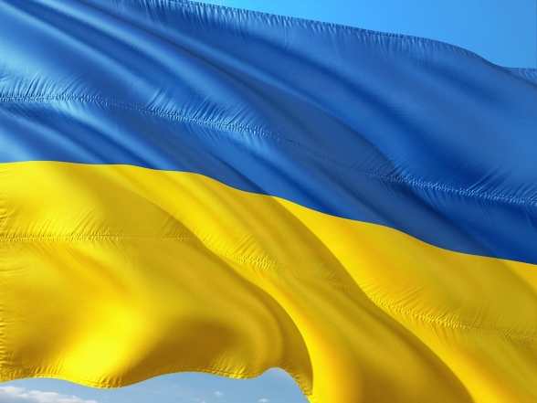день конституции украины картинки