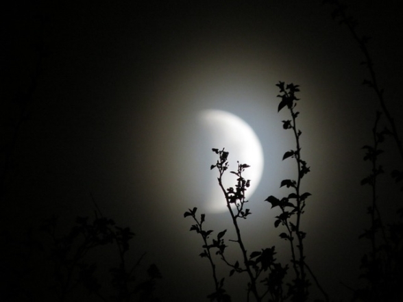 Лунное затмение 8 ноября 2022
