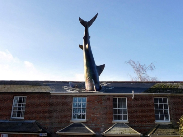 Памятник Акулы, Хэдингтон