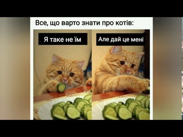 Подборка лучших мемов и приколов в картинках