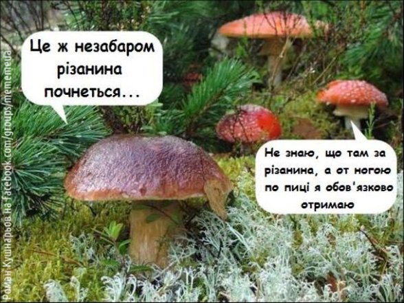 Анекдоты о тихой охоте