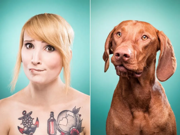 Фото, которые доказывают, что псы — вылитые хозяева