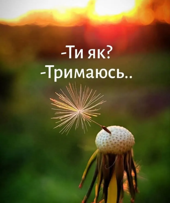 Самые смешные мемы о психотерапии