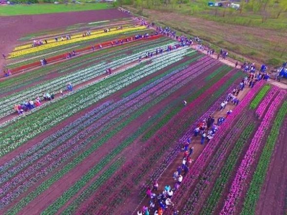 Куди поїхати навесні 2026 в Україні