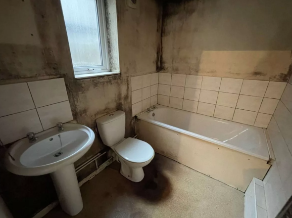 Очень-очень грязный дом: фотографии комнат, где не убирали 20 лет (ФОТО) - фото №5