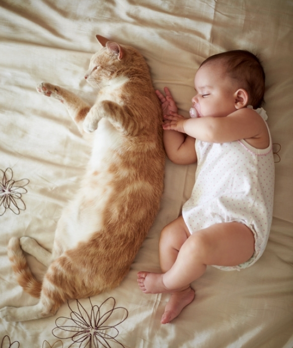 Кіт та дитина сплять разом фото