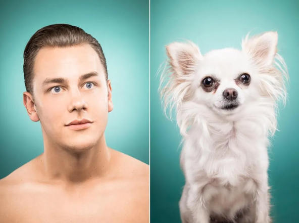 Фото, которые доказывают, что псы — вылитые хозяева