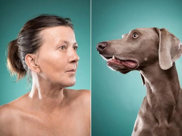 Фото, которые доказывают, что псы — вылитые хозяева