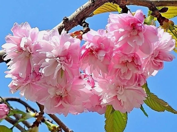 Куди поїхати навесні 2026 в Україні