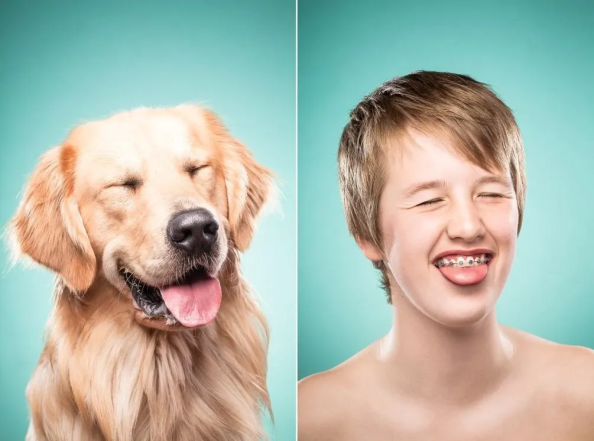 Фото, которые доказывают, что псы — вылитые хозяева