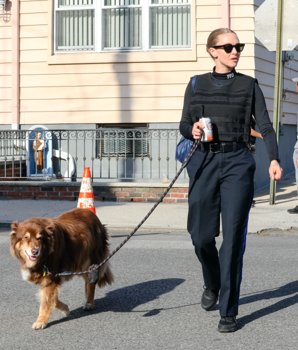 Аманда Сейфрид с собакой, фото