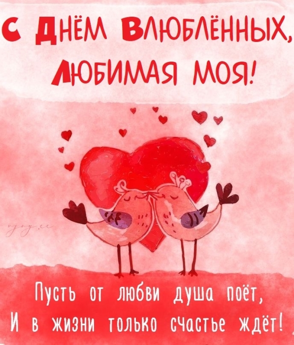 смешной прикольные картинки открытки с днем святого валентина