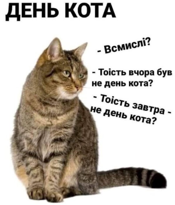 Найсмішніші меми про котів