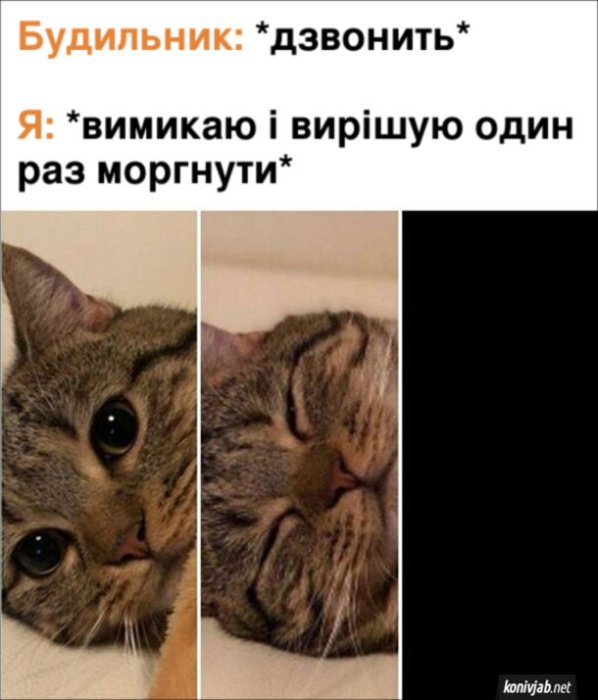 Подборка мемов о режиме дня и сне