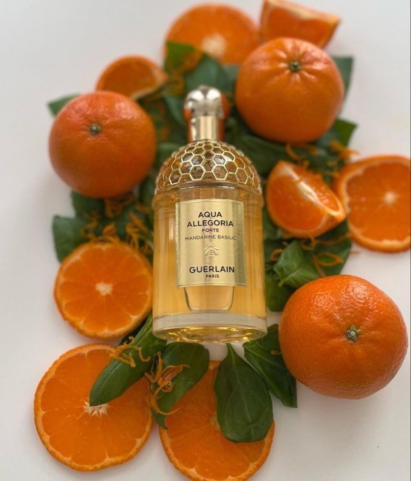 Аромати для новорічних свят