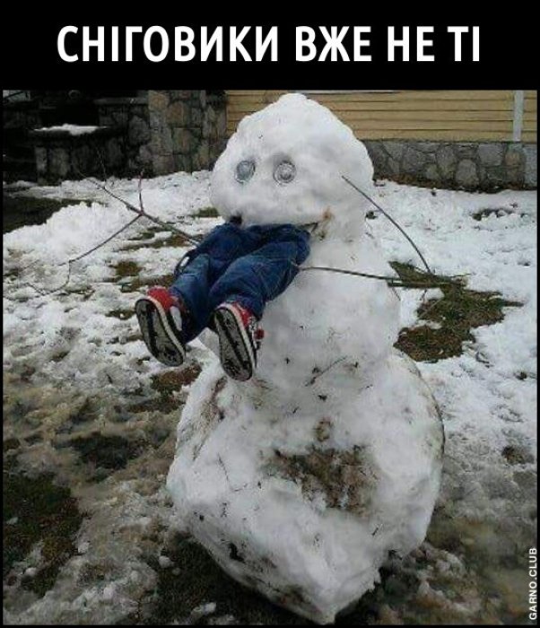 Жарти і меми про зимову пору
