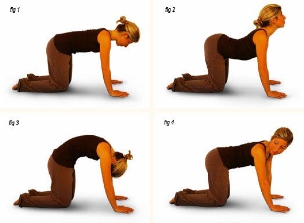 Йога для спины: 8 упражнений, с которыми вы навсегда забудете о болях в спине - фото №7