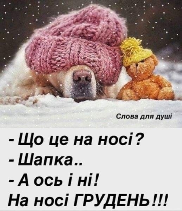 Вітаємо з приходом зими! Щирі побажання та забавні картинки — українською - фото №8