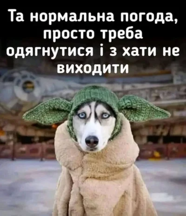 Жарти і меми про зимову пору