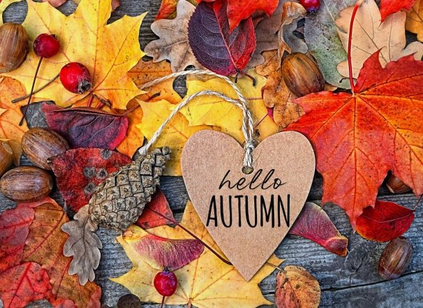 Уютная осень: лучшие пожелания и красивые открытки