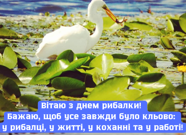 зі Всесвітнім днем рибальства картинки