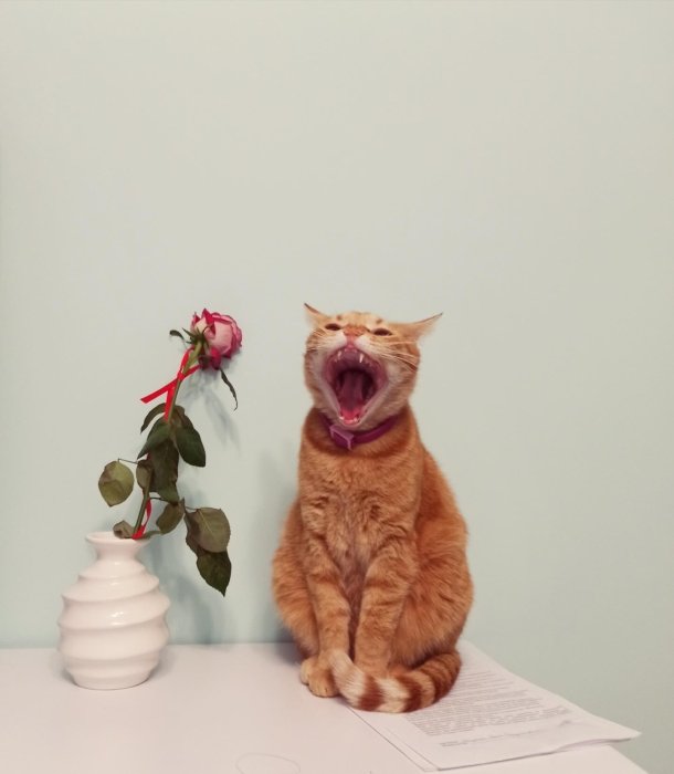 Заряд позитиву на весь день