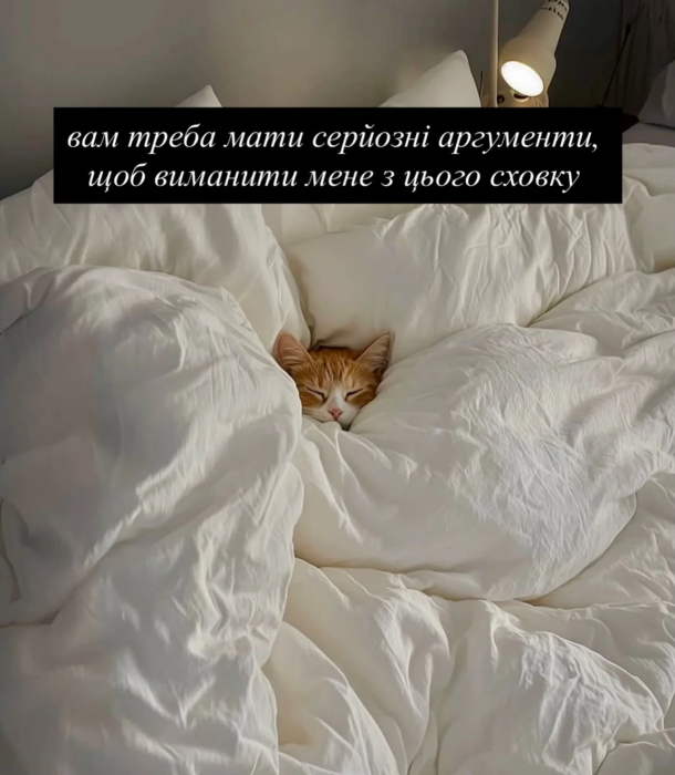 Кумедні картинки та меми про котів