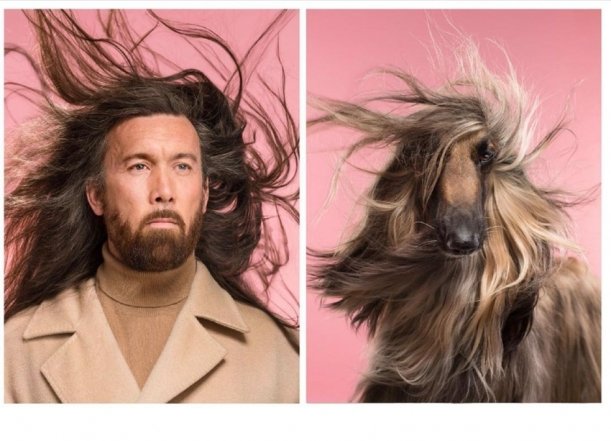 Фото, которые доказывают, что псы — вылитые хозяева