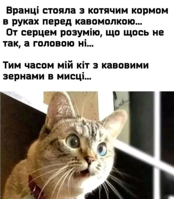 Подборка лучших мемов и приколов в картинках