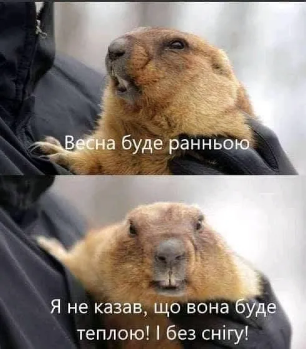 Шутки ко дню сурка