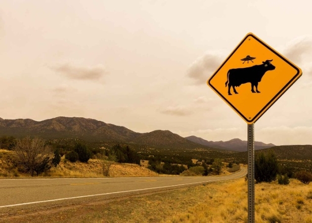 Дорожный знак НЛО и корова