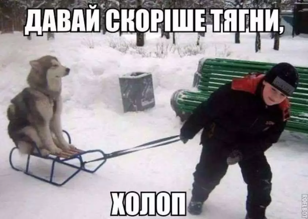 Жарти і меми про зимову пору