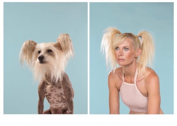 Фото, которые доказывают, что псы — вылитые хозяева