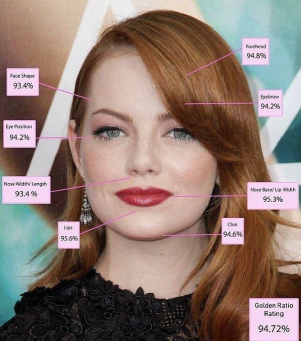 У какой актрисы идеальное лицо - расчет ученых для Эммы Стоун