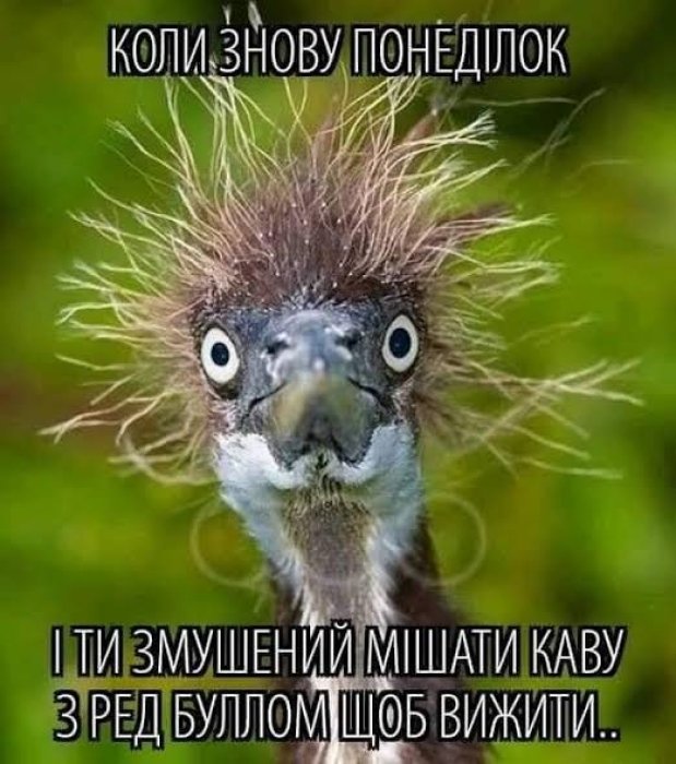 Жарти про понеділок та робочий тиждень