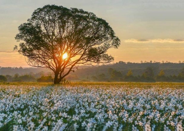 Куди поїхати навесні 2026 в Україні