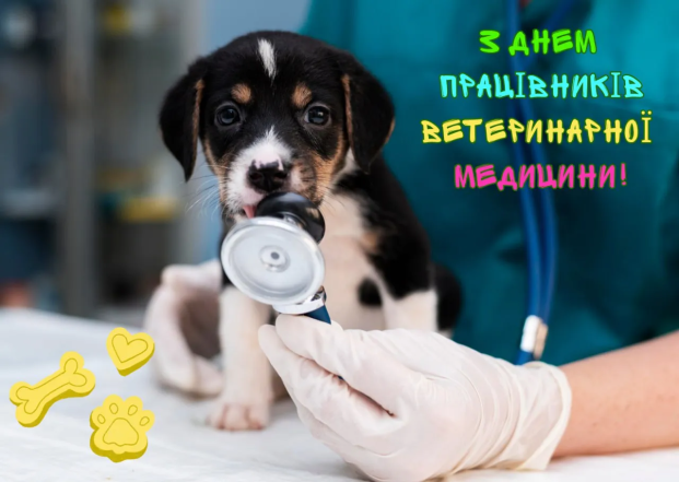 Поздравления с Днем ветеринара в прозе