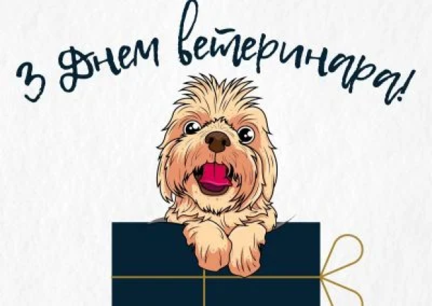 Поздравления с Днем ветеринара в прозе