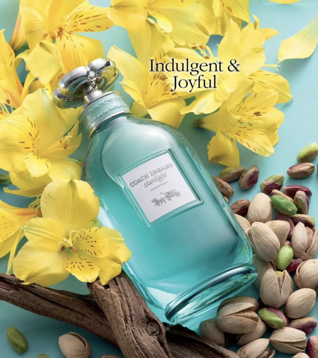 Coach Dreams Starlight