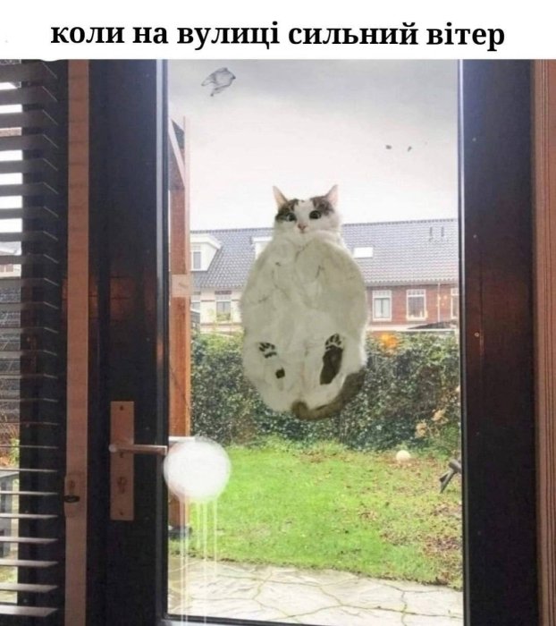 Мемы и шутки о погоде