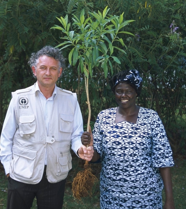 Фонд Yves Rocher висадив 100 мільйонів дерев у світі - фото №1